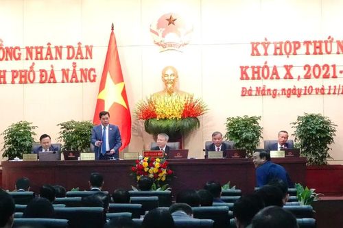 Đà Nẵng tính việc chuyển đổi rừng keo, rà soát quy trình xả lũ