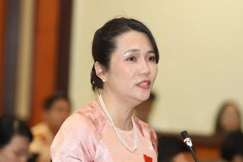 Đại biểu HĐND TPHCM: Người dân dễ tiếp cận nhà ở xã hội từ... 'cò' đất
