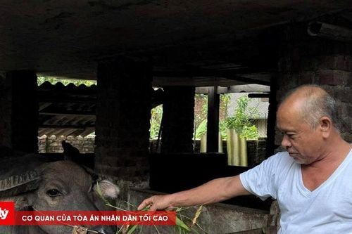 Nỗ lực giảm nghèo bền vững tại vùng dân tộc thiểu số Thái Nguyên