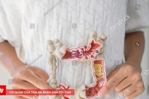 Lợi khuẩn (probiotics) - Chìa khóa hỗ trợ con ăn ngon, hấp thu tốt