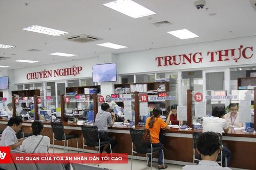 Tăng cường lắng nghe và dữ liệu hóa giám sát kiến nghị cử tri