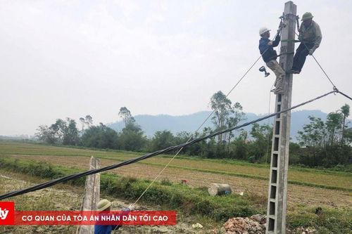 Kịp thời khắc phục hệ thống điện đổ gãy do bão