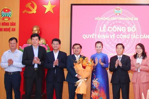 Công bố Quyết định chỉ định, điều động đồng chí Nguyễn Viết Hùng giữ chức Chủ tịch Hội Nông dân tỉnh Nghệ An