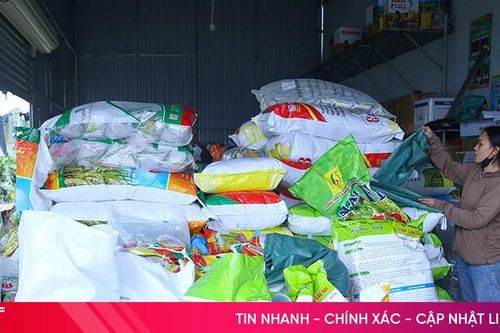 Vì sao giá giống lúa xuân ở Hà Tĩnh cao hơn thị trường ngoại tỉnh?