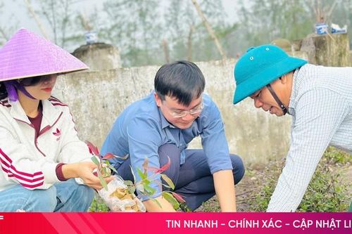 Từng bước hồi sinh những cánh rừng ven biển Hà Tĩnh
