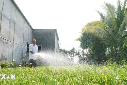 Thành phố Hồ Chí Minh lên kế hoạch tăng sản lượng vụ rau Tết