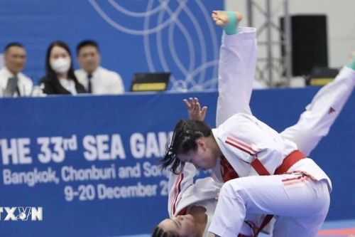 SEA Games 33: Đoàn thể thao Việt Nam liên tiếp giành được huy chương