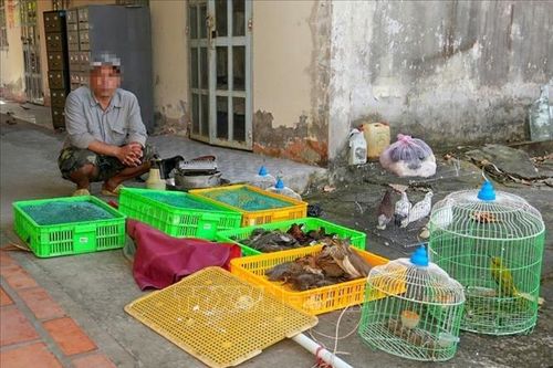 Người dân giao nộp 42 con chim, cò hoang dã để thả về tự nhiên