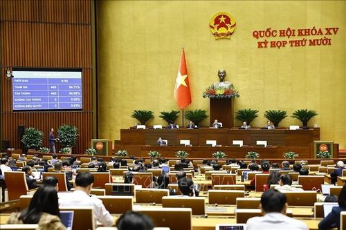 Quốc hội thông qua luật, nghị quyết về điều ước quốc tế và hội nhập quốc tế