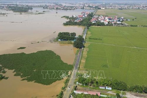 Công bố tình huống khẩn cấp ngập sàn trạm bơm tiêu Tân Hưng, Cẩm Hà 1, Tăng Long
