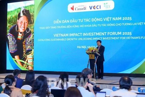 Mở khóa đầu tư tác động cho tương lai Việt Nam