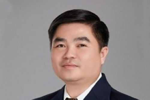 Ông Nguyễn Xuân Dũng làm chủ tịch CIC Group