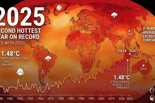 Năm 2025 có thể trở thành năm nóng thứ hai trong lịch sử