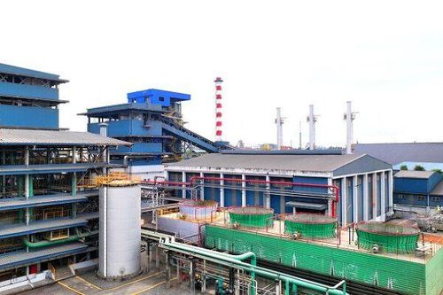 Hai 'ông lớn' ngoại xây nhà máy ép dầu đậu nành quy mô hàng đầu Đông Nam Á tại TP HCM