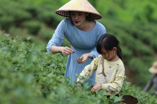 Định vị lại du lịch nông thôn theo hướng tăng trưởng xanh