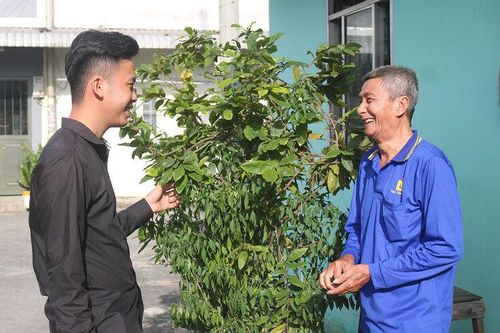 Đại đoàn kết trên quỹ đất công - Bài 3: Nơi đó có đại đoàn kết