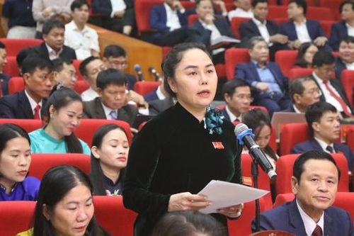 Kỳ họp thứ Tám, HĐND tỉnh Bắc Ninh khóa XIX: Thảo luận tại hội trường về nhiều vấn đề 'nóng'