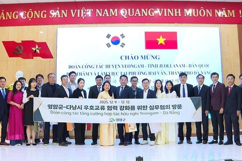 Thúc đẩy hợp tác nông nghiệp, lao động thời vụ giữa phường Hải Vân và huyện Yeongam (Hàn Quốc)