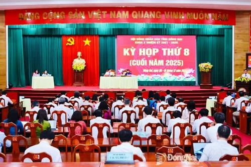 Cầu Đồng Nai 2 được lựa chọn nhà đầu tư theo trường hợp đặc biệt