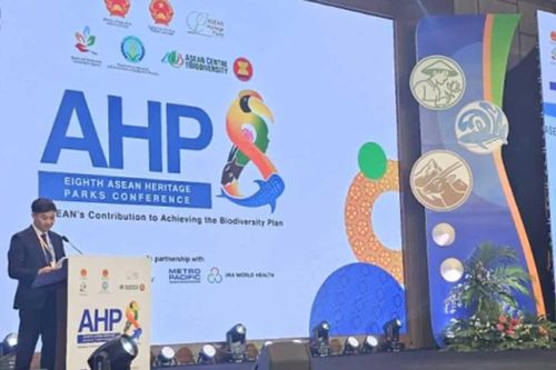 Khoảnh khắc và Sự kiện ngày 10-12