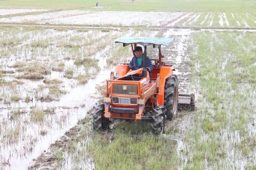 Nông dân Gia Lai khẩn trương khôi phục đồng ruộng để kịp vụ Ðông Xuân