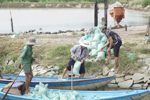 Khôi phục nuôi trồng thủy sản