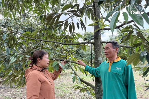 Những 'đóa hoa' ở Đông Khánh Sơn