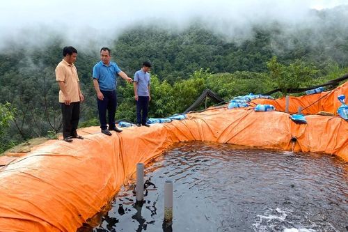 Dào San đổi mới tư duy để phát triển bền vững