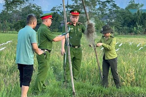 Tịch thu, tiêu hủy nhiều dụng cụ bẫy động vật hoang dã