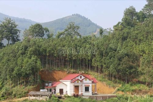Đa dạng sinh kế, giảm nghèo bền vững cho người dân