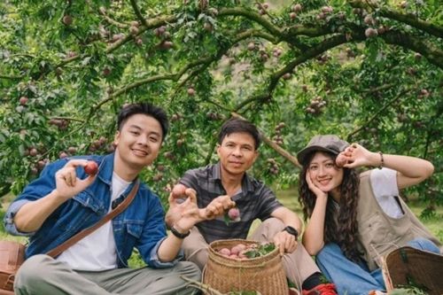 Du lịch nông sản: 5 mùa thu hoạch độc đáo khắp Việt Nam
