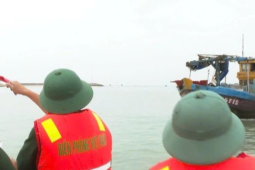 Ngư dân bức xúc, ngư trường kiệt quệ vì giã cào bay