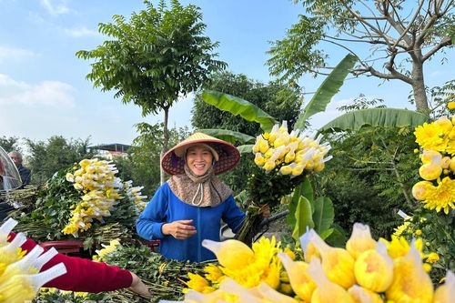 Làng hoa Hồng Hà: Nơi phù sa hóa hương sắc
