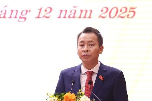 Thúc đẩy phát triển khoa học, đổi mới sáng tạo và chuyển đổi số
