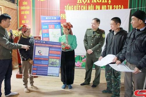 Động lực để bảo vệ và phát triển rừng