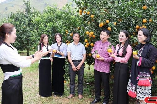 Khi cán bộ đồng hành cùng người dân chuyển đổi số