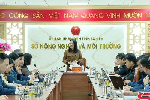 Nắm tình hình triển khai phong trào 'Bình dân học vụ số'