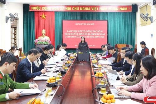Khảo sát tình hình triển khai phong trào 'Bình dân học vụ số' tại phường Chiềng Cơi và xã Mai Sơn