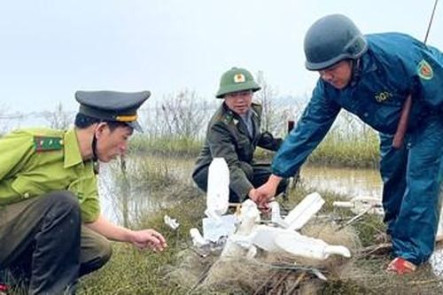 Tháo gỡ, tiêu hủy hàng trăm mét lưới, cò xốp, cọc tre… săn bắt chim trời