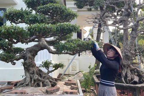 Hưng Yên thúc đẩy kinh tế nông thôn từ 'mỏ vàng xanh'
