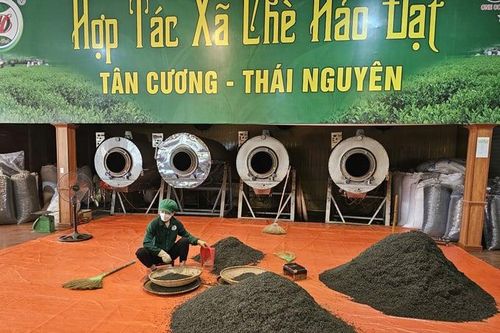 Phát triển HTX và liên hiệp HTX: Nâng cao thu nhập nông dân, hoàn thành vượt mục tiêu nông thôn mới