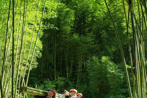 Thượng Minh - Vẻ đẹp nguyên sơ giữa miền sơn cước Thái Nguyên