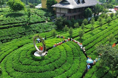 Thái Nguyên: Hợp tác xã là 'cầu nối' để du khách khám phá văn hóa bản địa