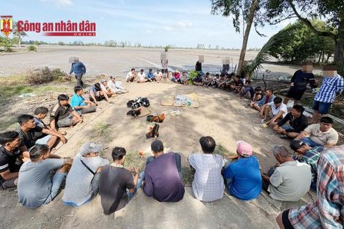 Triệt phá trường gà, tạm giữ 23 đối tượng