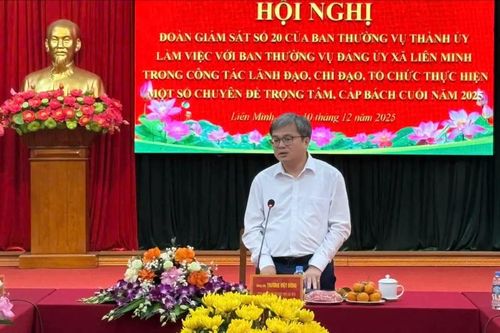 Xã Liên Minh cần chủ động hút nhà đầu tư chiến lược