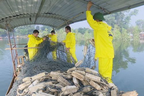 Bẫy bắt cá thể rùa Hoàn Kiếm tại Đồng Mô để bảo tồn