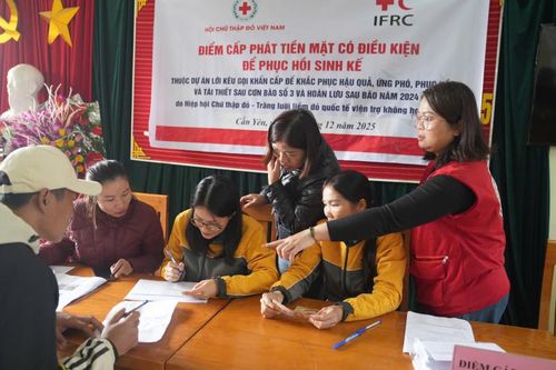 Phục hồi sinh kế sau bão số 3 cho 460 hộ dân