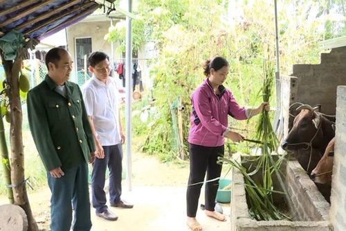 Hỗ trợ vay vốn - cần câu thoát nghèo