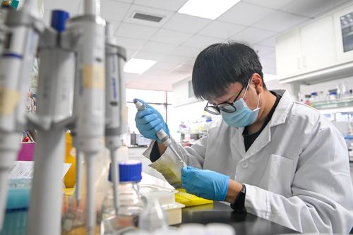 Cách Trung Quốc thu hút các tinh hoa khoa học về nước