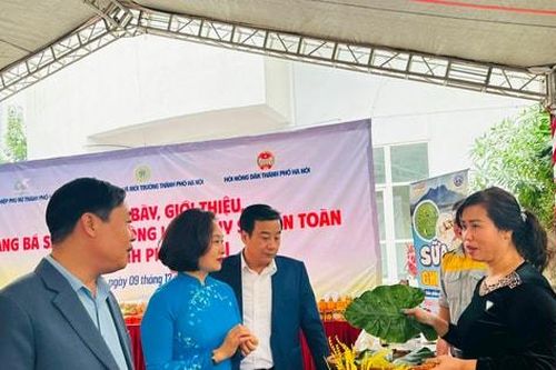 Nâng cao quyền năng của phụ nữ trong giảm nghèoBài 1: Góp sức xây dựng nông thôn mới, đô thị văn minh